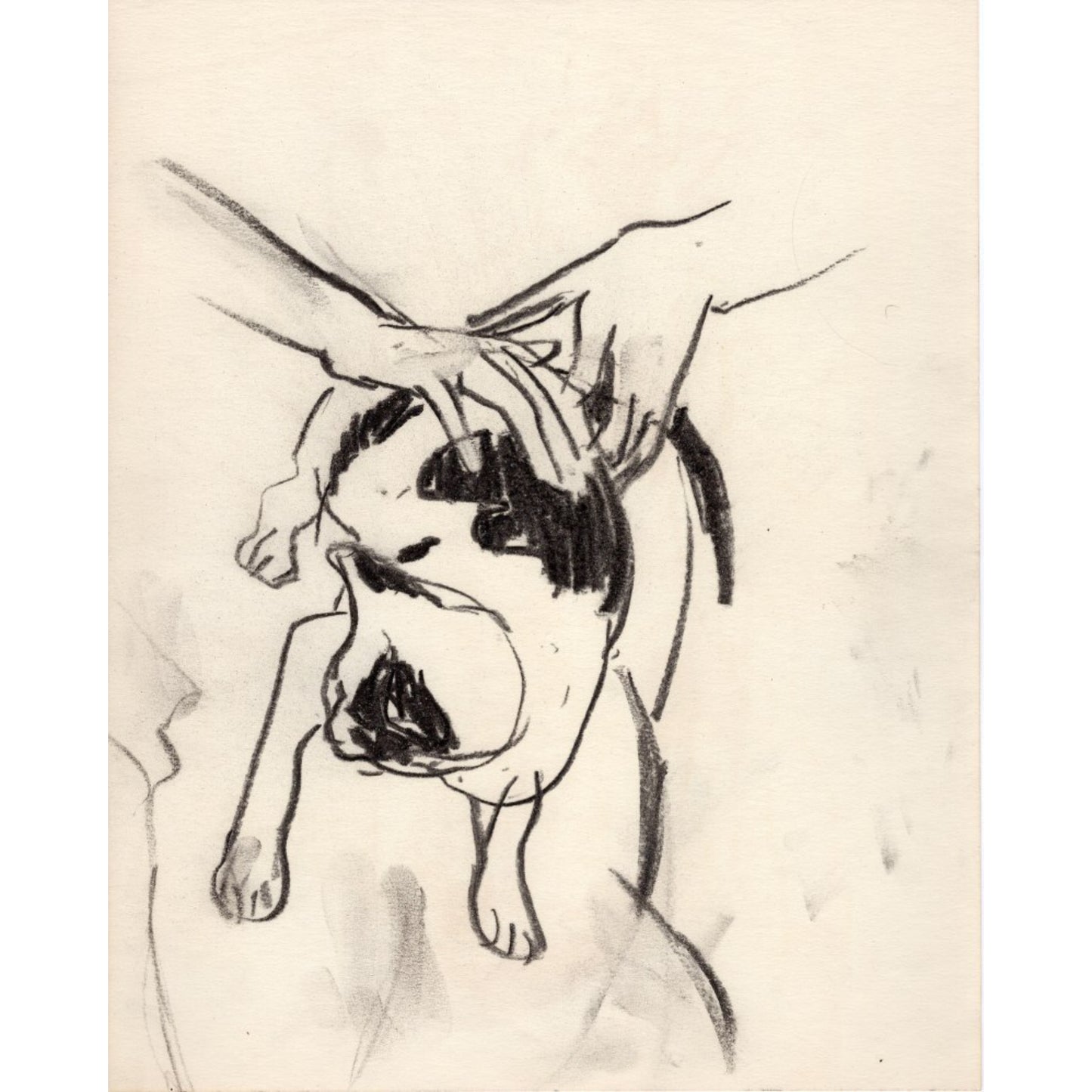 1394 - 11" x 13.75"