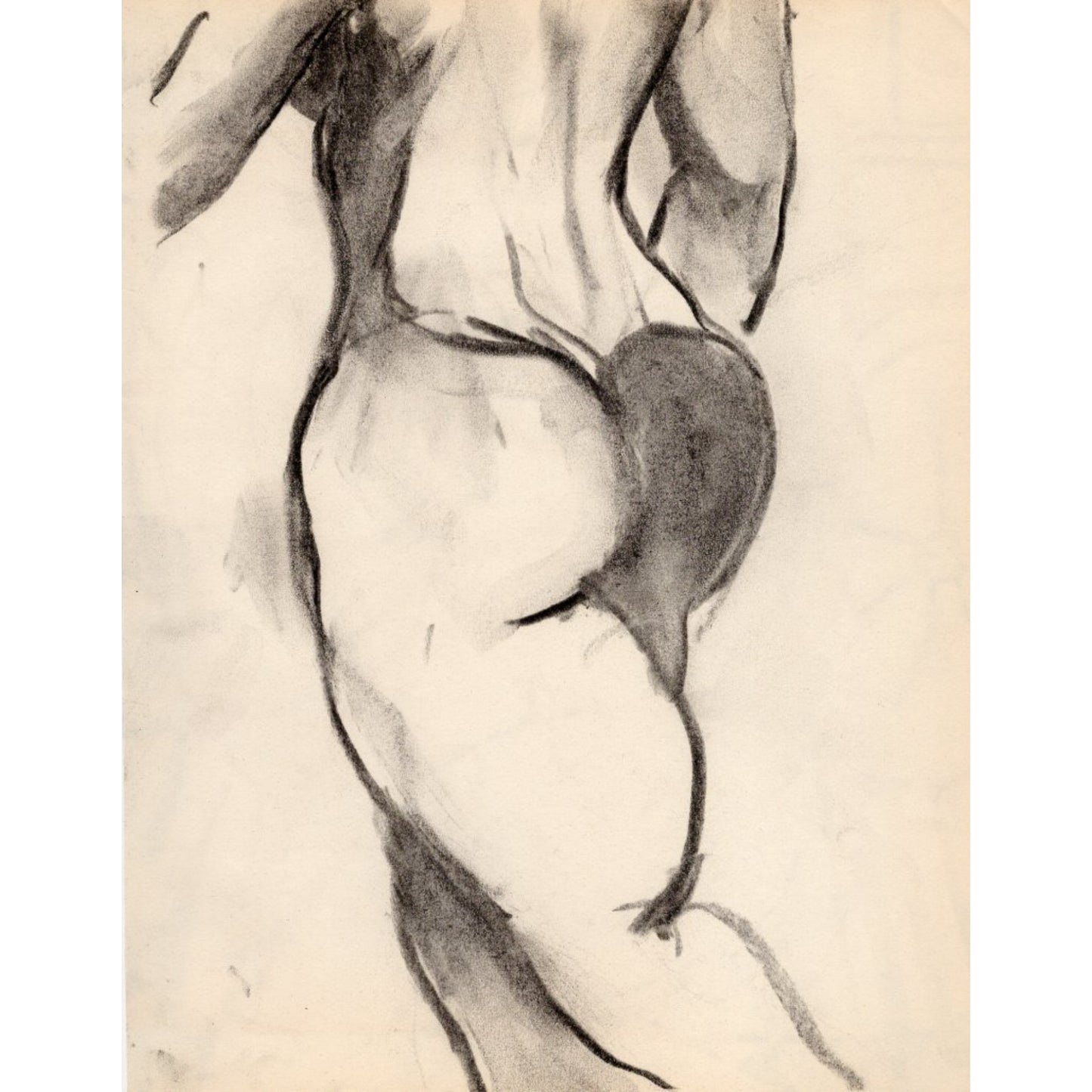 1546 - 8" x 10.75"