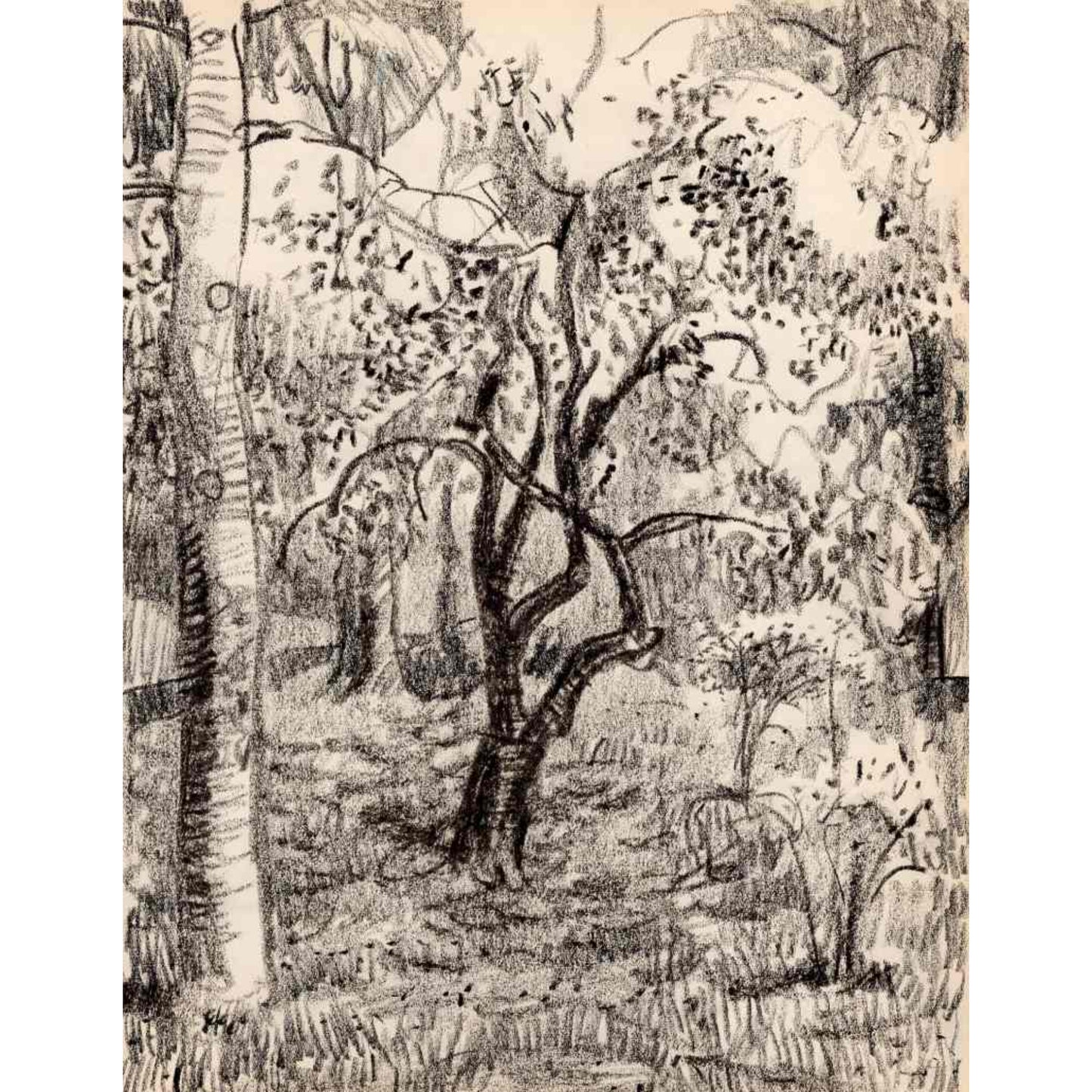1550 - 8" x 10.5"