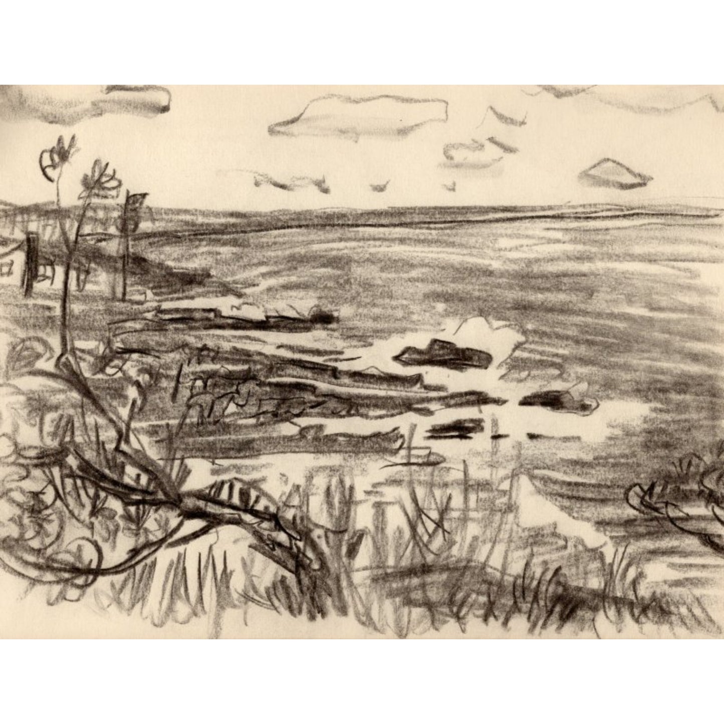 1566 - 11.75" x 9"