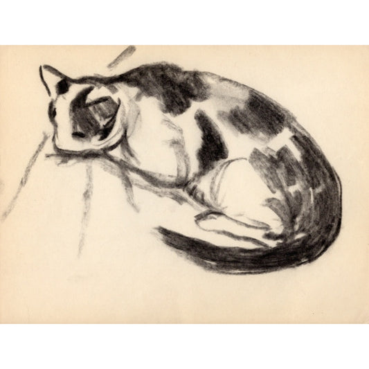 1346 - 9.5" x 7"