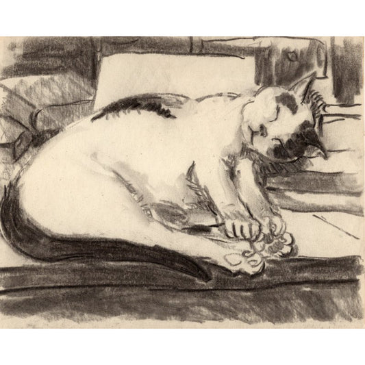 1391 - 11" x 13.75"
