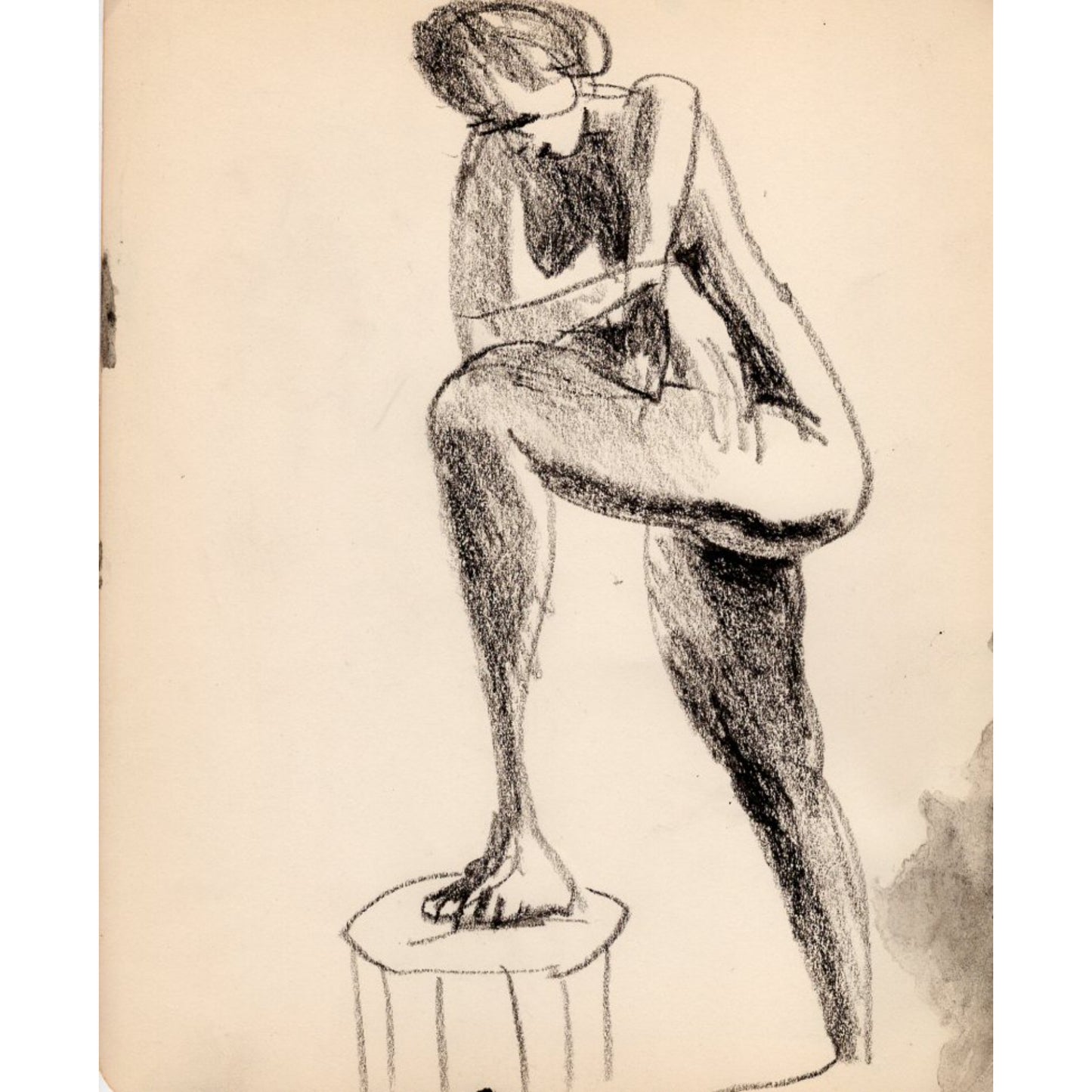 1504 - 7.75" x 9.75"