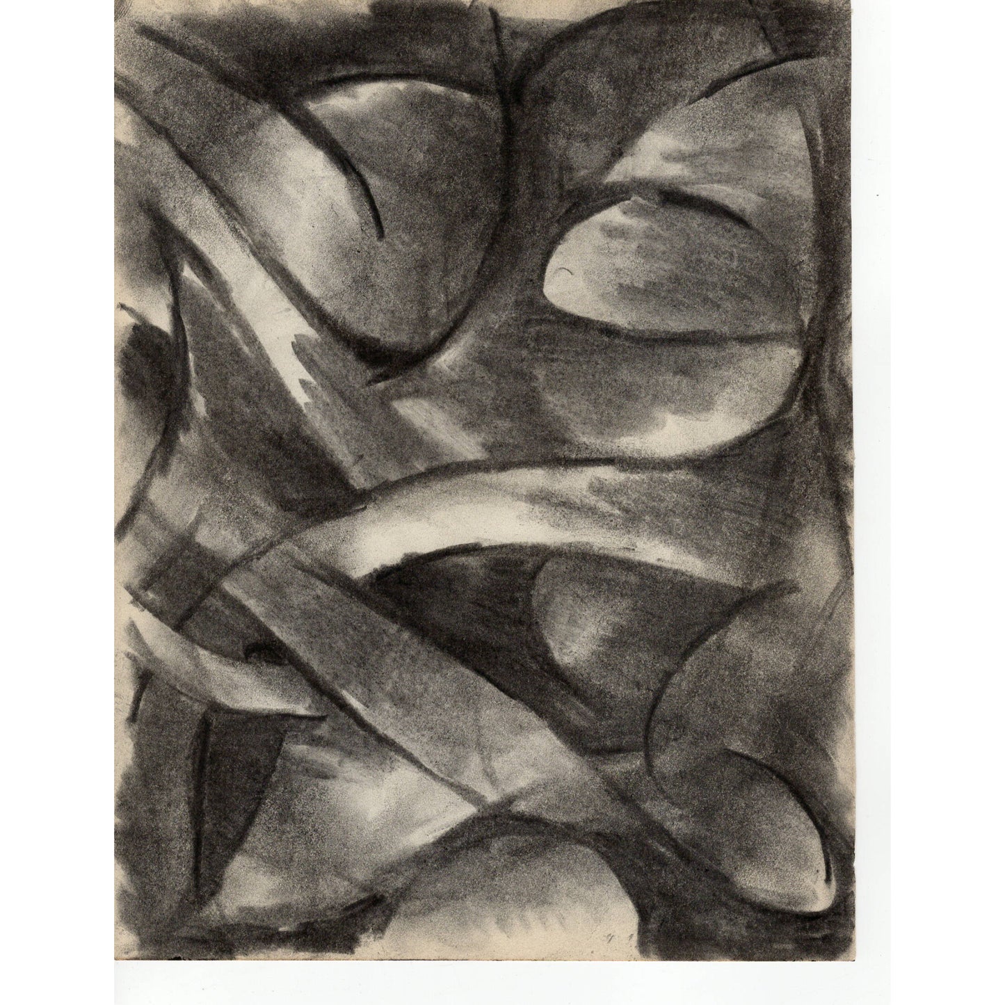 1513 - 10.5" x 8"