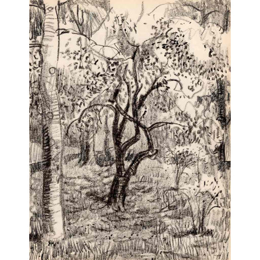 1550 - 8" x 10.5"