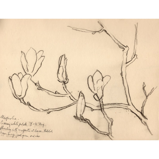 1564 - 11.75" x 9"