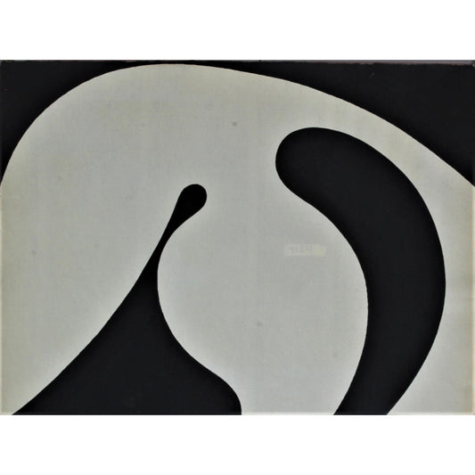 3006 - 21.75" x 16.75"