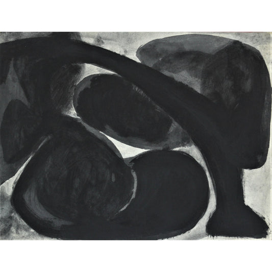 3007 - 21.75" x 16.75"