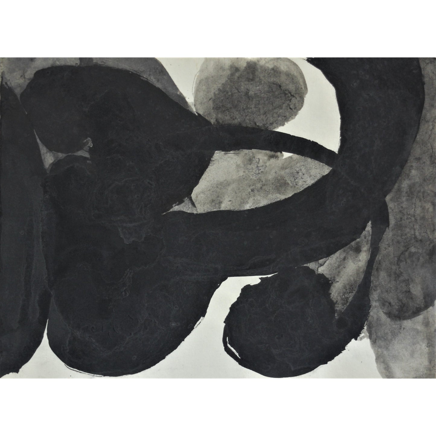3031 - 21.7" x 16.75"