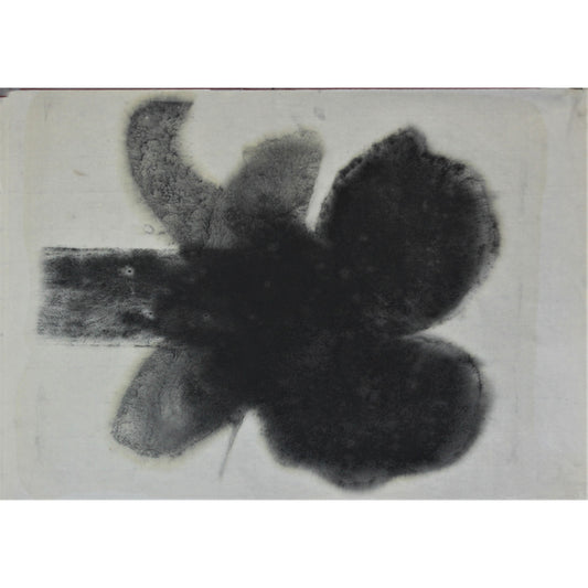 3062 - 24.5" x 17"